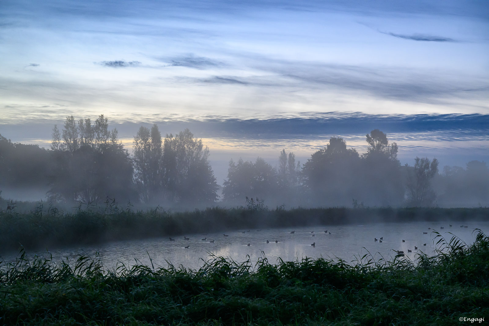DSC_0548.jpg