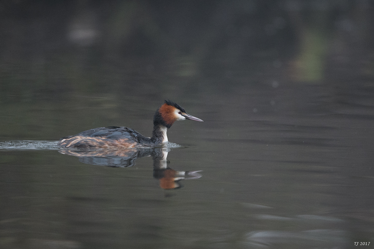 DSC_0850.jpg