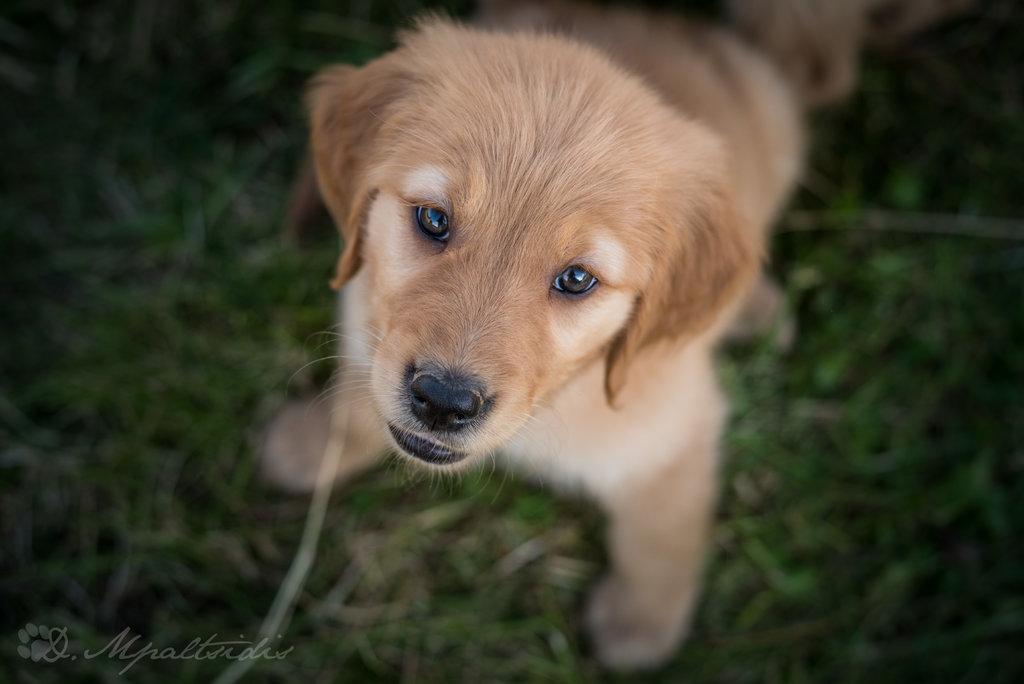 26208463es.jpg