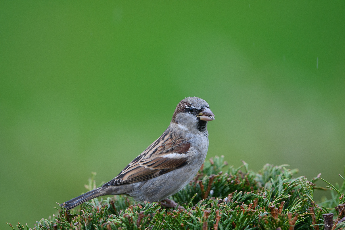 DSC_2883.jpg