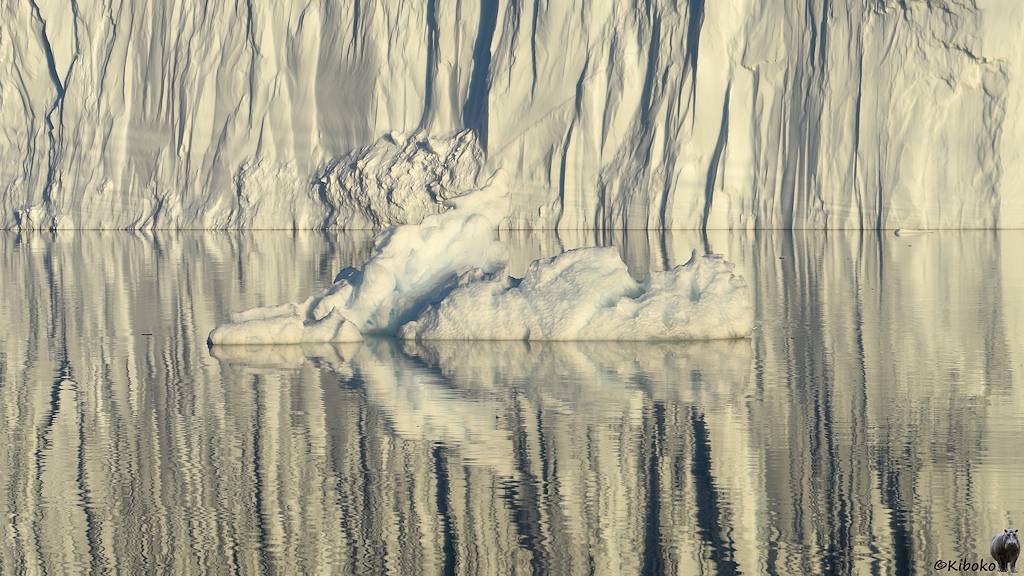 s485_KangiaIsfjord-Reflektion_6290.jpg