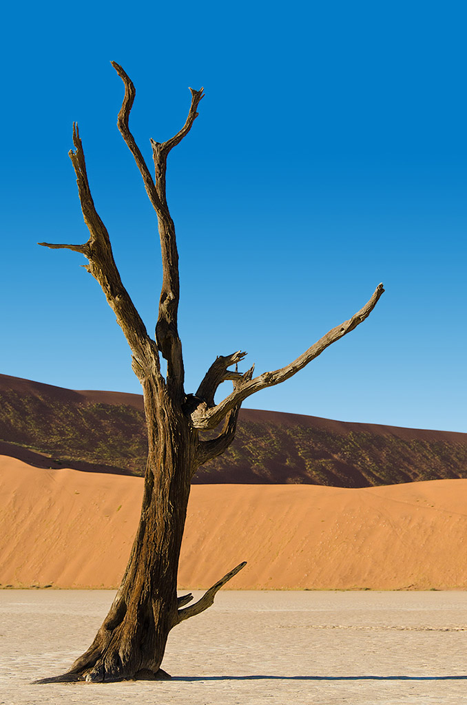 namibia_deadvlei_1.jpg
