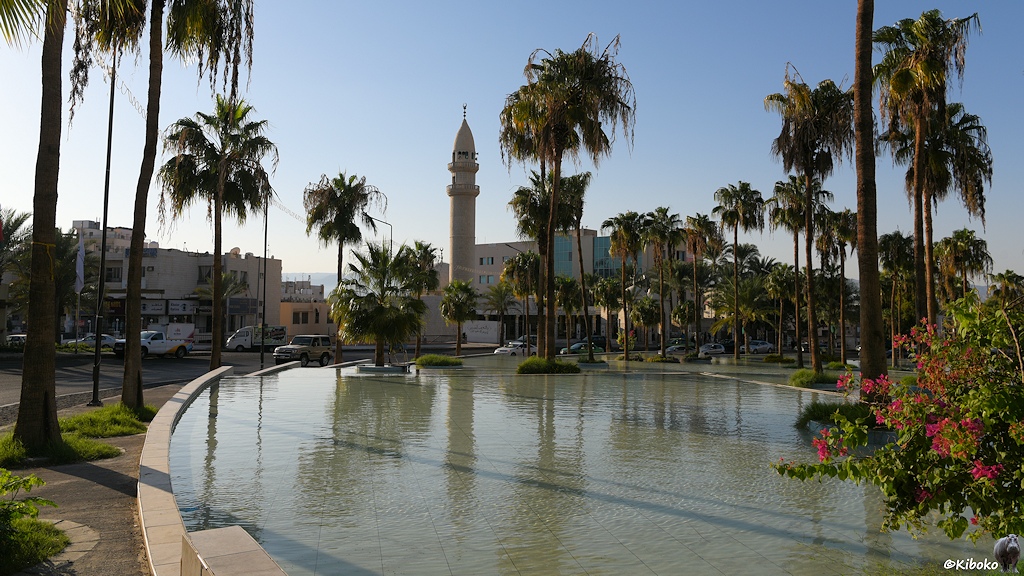 Mochee mit Minarett hinter Wasserbecken mit Palmen