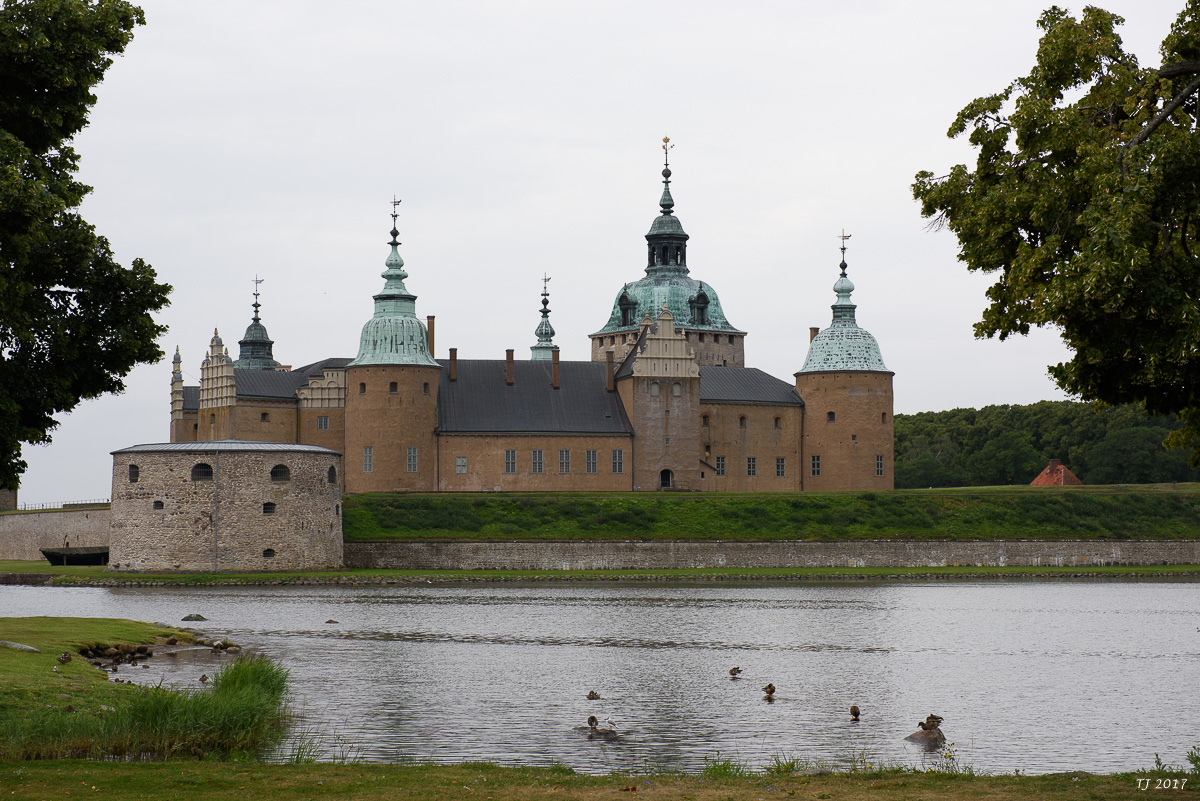 DSC_7701.jpg