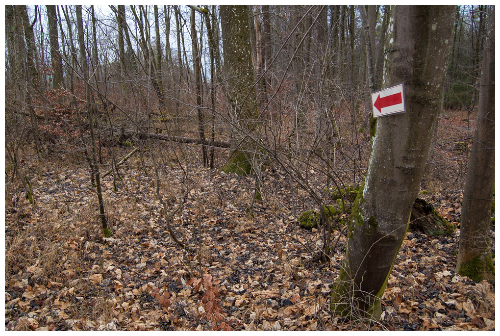 Schild%20Wasistda.jpg