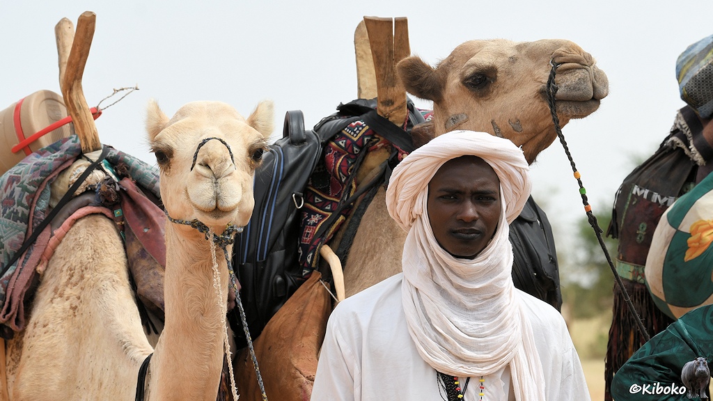 Das Bild zeigt das Porträt eines Mannes im weißen Gewand it weißem Turban. Links neben ihm ist das Porträt eines Dromedars. Über den Kopf des Mannes ist ein weiterer Dromedarkopf.
