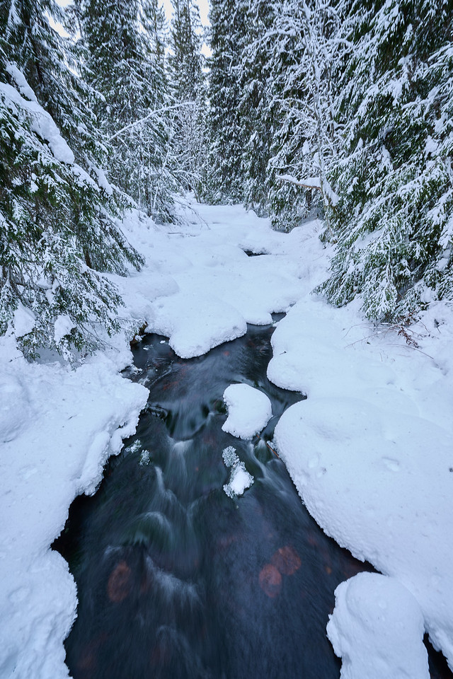 DSC_2683-X2.jpg