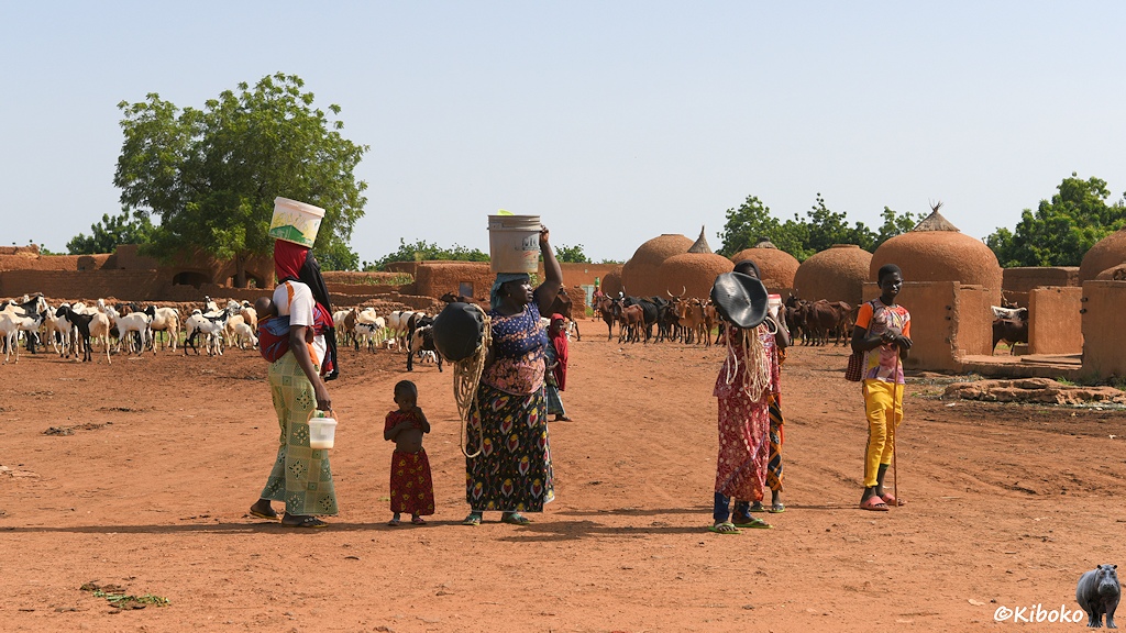 Das Bild zeigt eine Gruppe Frauen in bunten Kleidern mit Plastikeimern auf dem Kopf. Dahinter stehen eine Schafherde und eine Rinderherde auf einen Platz aus rotbraunem Sand. Im Hintergrund stehen runde Gebäude mit halbrunder Kuppel aus rotbraunem Lehm.