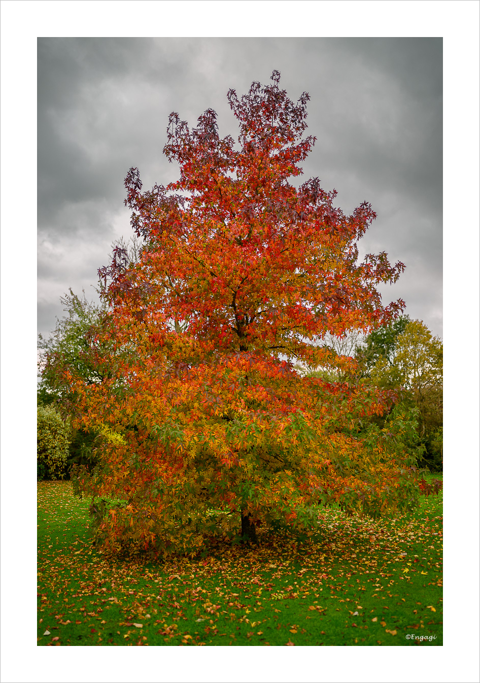 DSC_3281.jpg