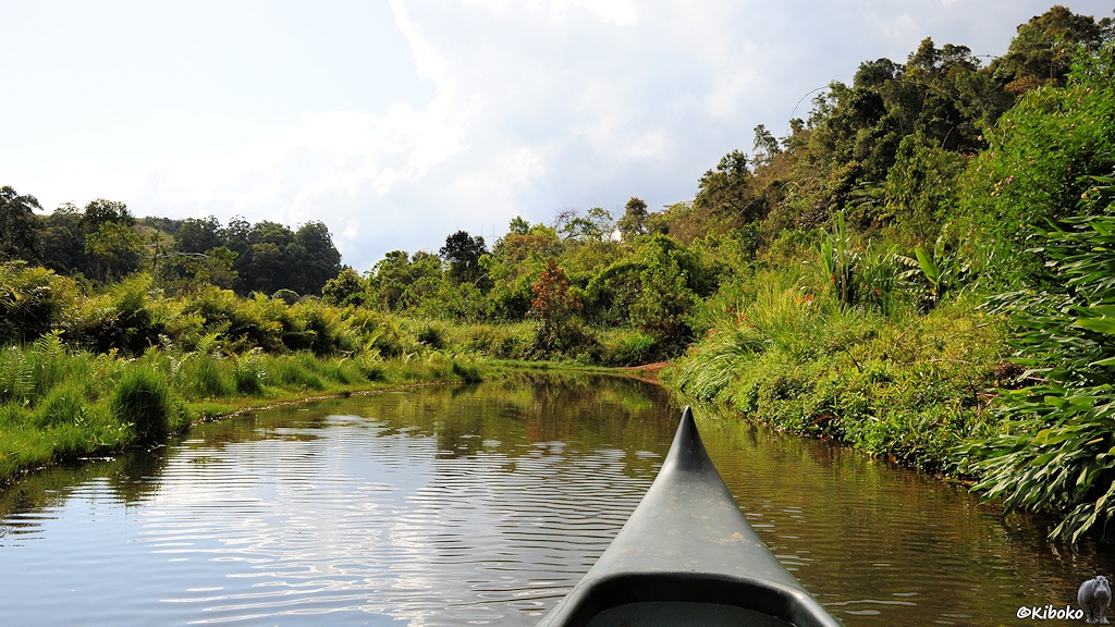Blick vom Kanu aus auf einen Kanal mit dichter Vegetation auf beiden Seiten. Die grüne Kanuspitze ragt ins Bild.