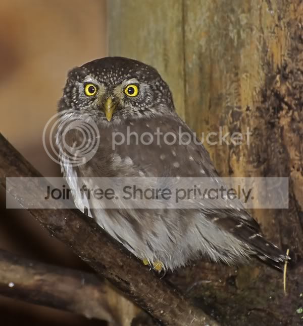 OS141109eek09.jpg
