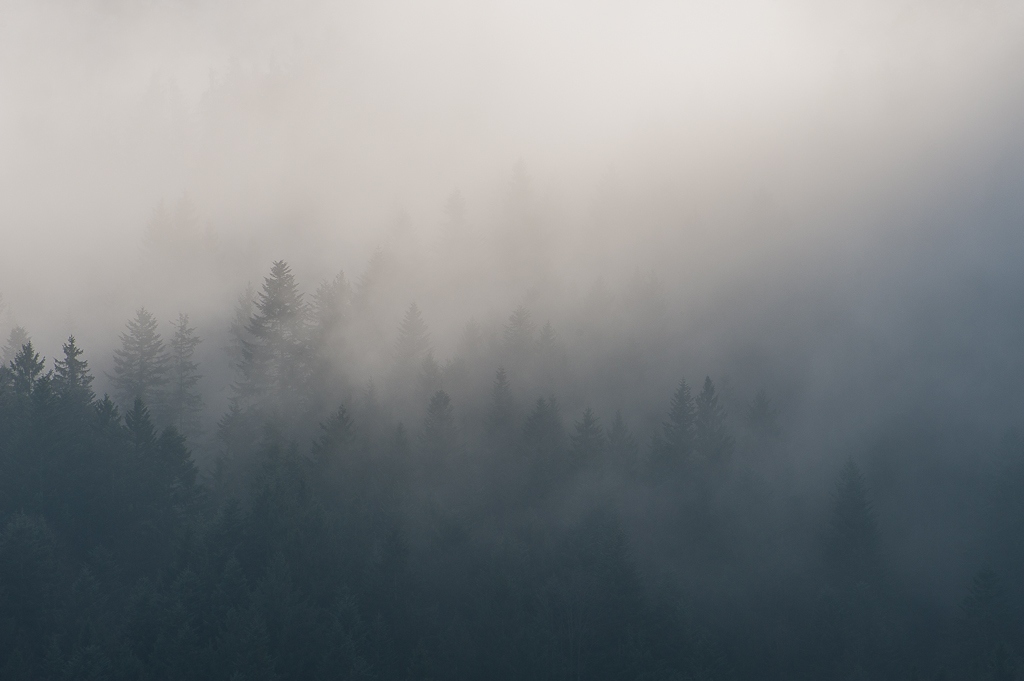 10965787813_11145e48a8_o.jpg