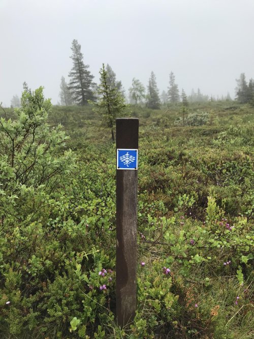 190621_105750.JPG
