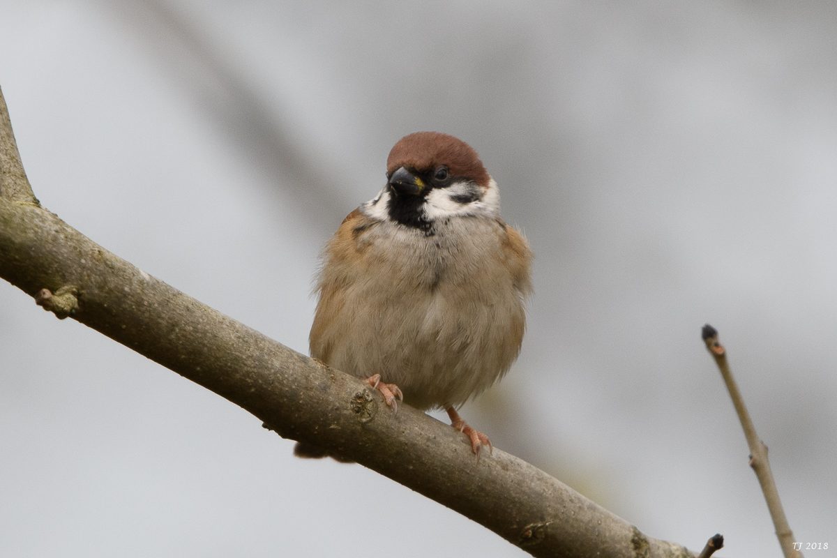 DSC_6773.jpg