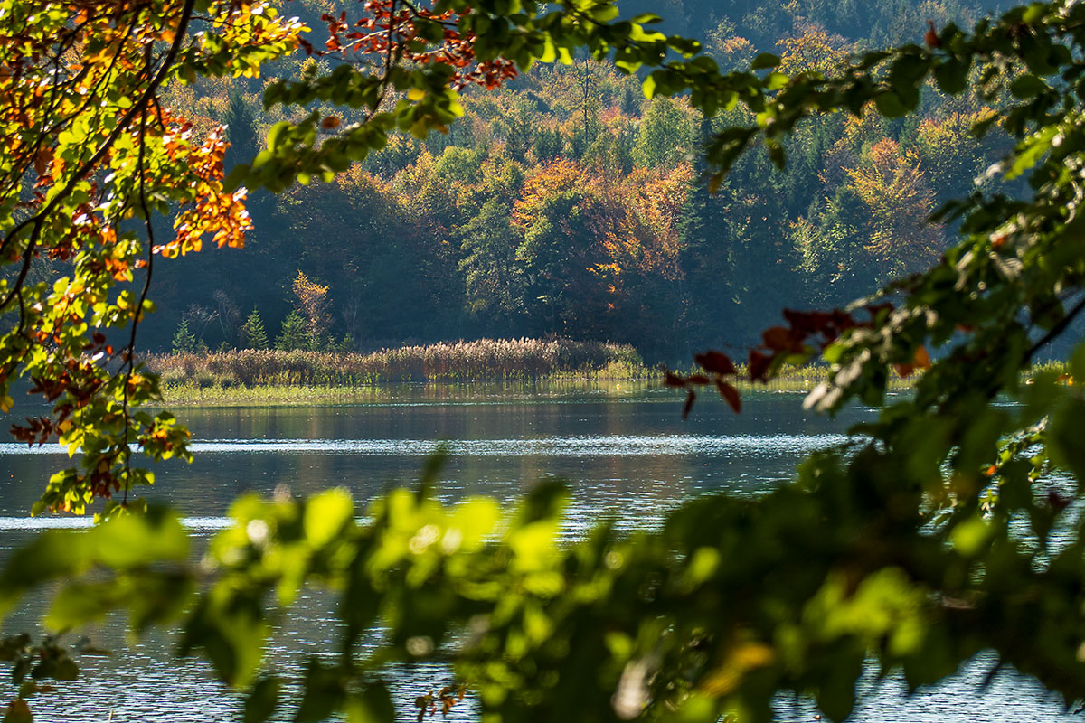 20181014_RX100M6_0198NF.jpg