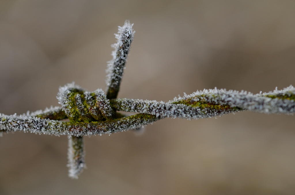 21021099bx.jpg