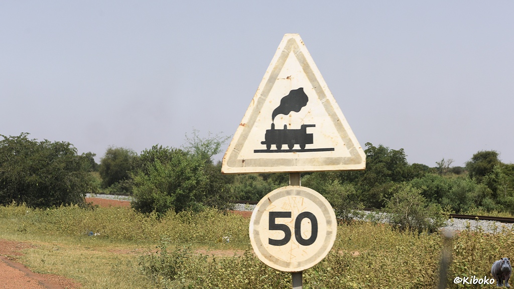 Das Bild zeigt zwei vergilbte Verkehrsschilder. Oben ist ein dreickiges Schild mit einer Dampflok. Darunter ist ein Schil mit einer 50. Im Hintergrund verläuft hinter Büschen eine Bahnstrecke mit hellgrauem Schoter.