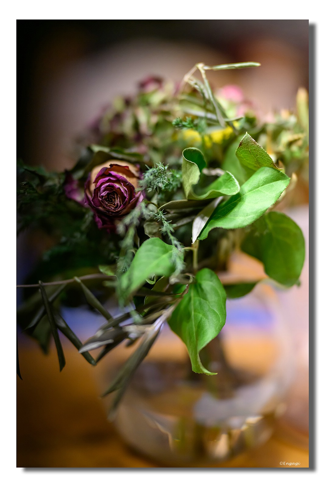 DSC_0814a.jpg