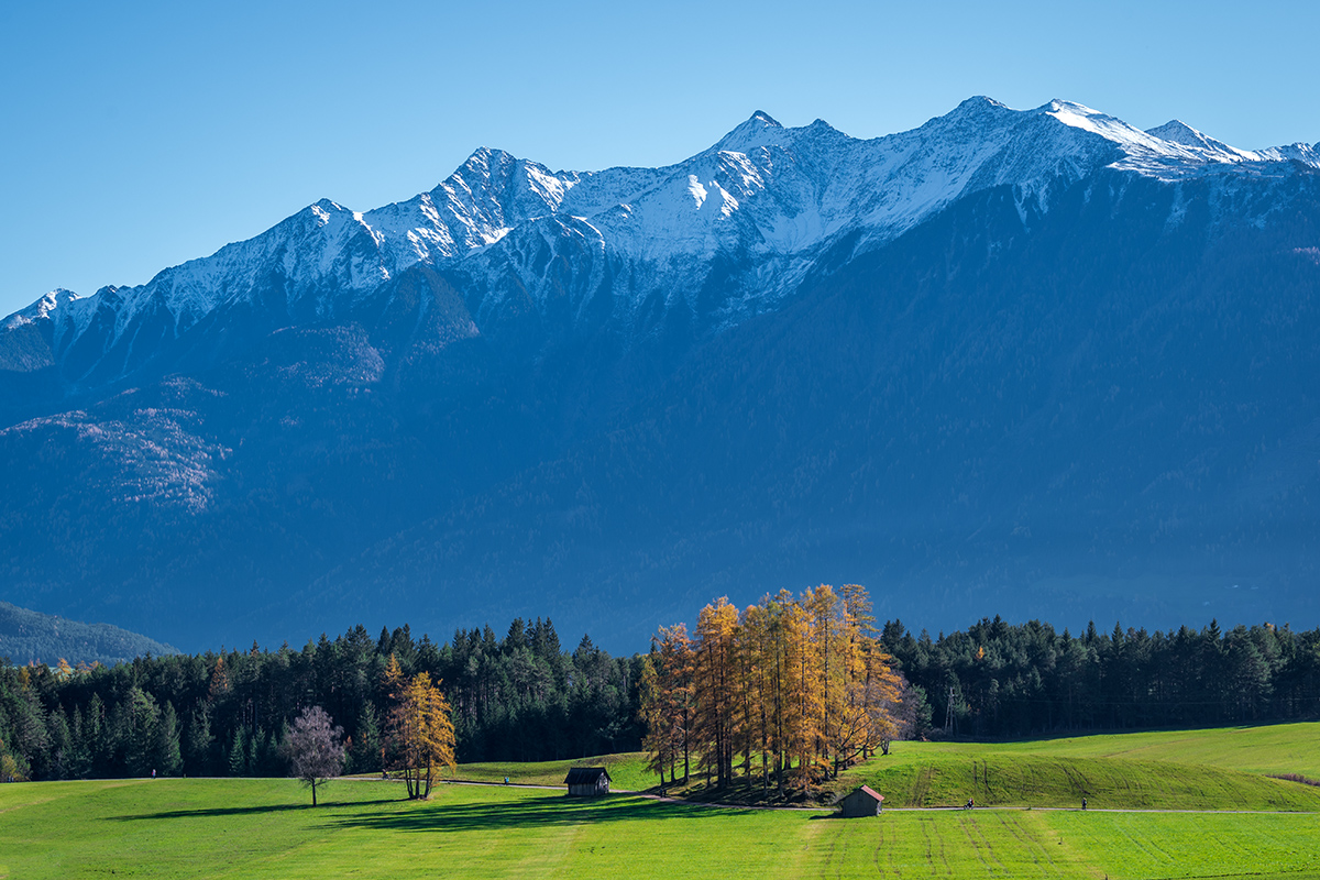 20221113_NZ6_0759wNF.jpg