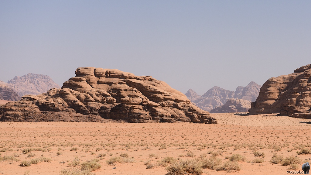 Wüstenlandschaft