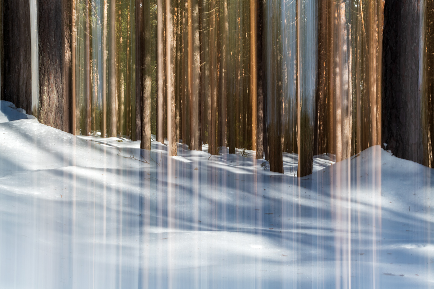 20190120_D850_0067NF.jpg