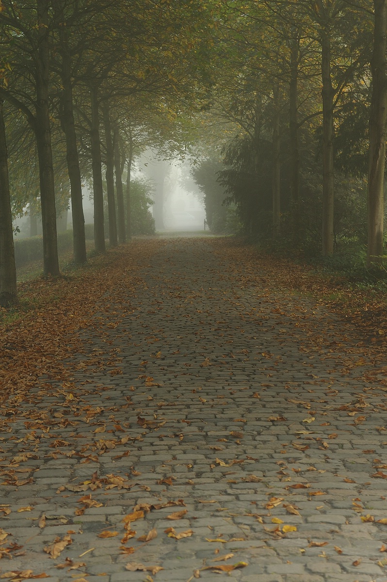 cK.R.-540DSC_4812.jpg