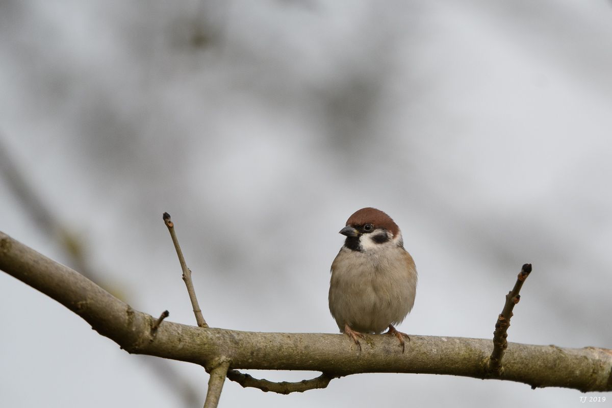 DSC_6849.jpg