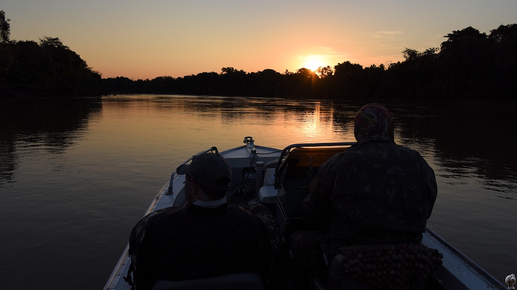 Das Boot fährt in den Sonnenuntergang