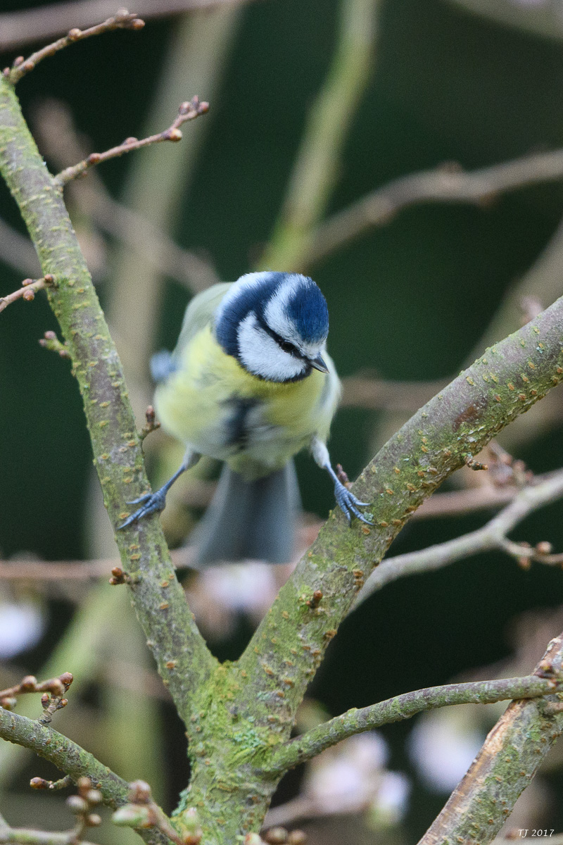 DSC_3021.jpg