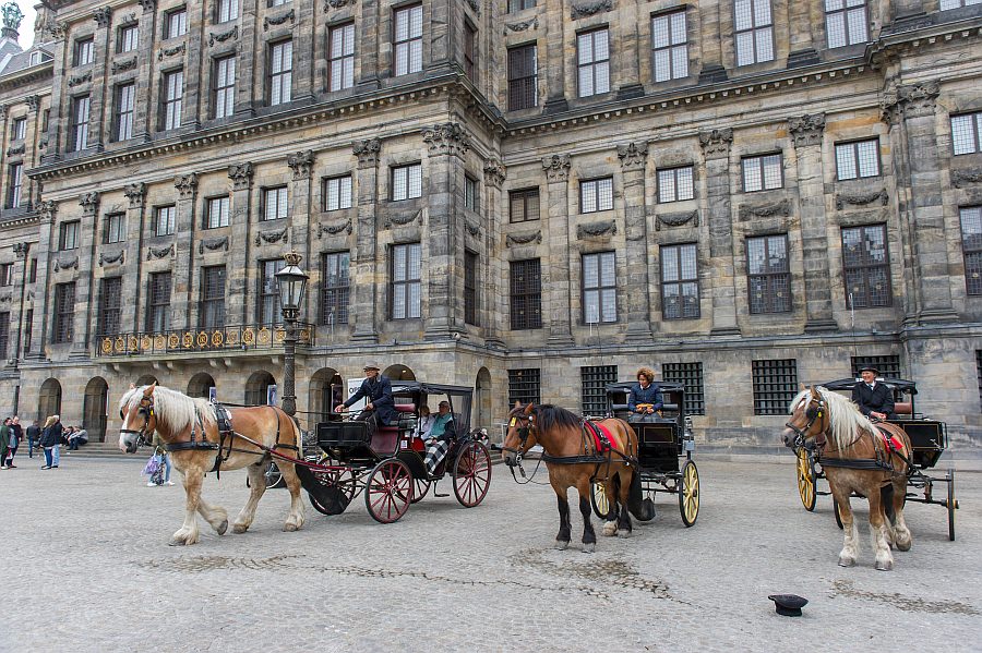 amsterdam16_75.jpg
