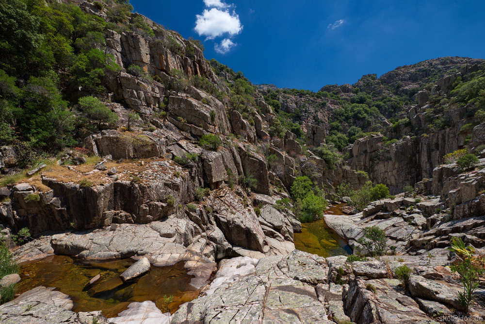 skotPHos.de_Sardinien2015_036.JPG