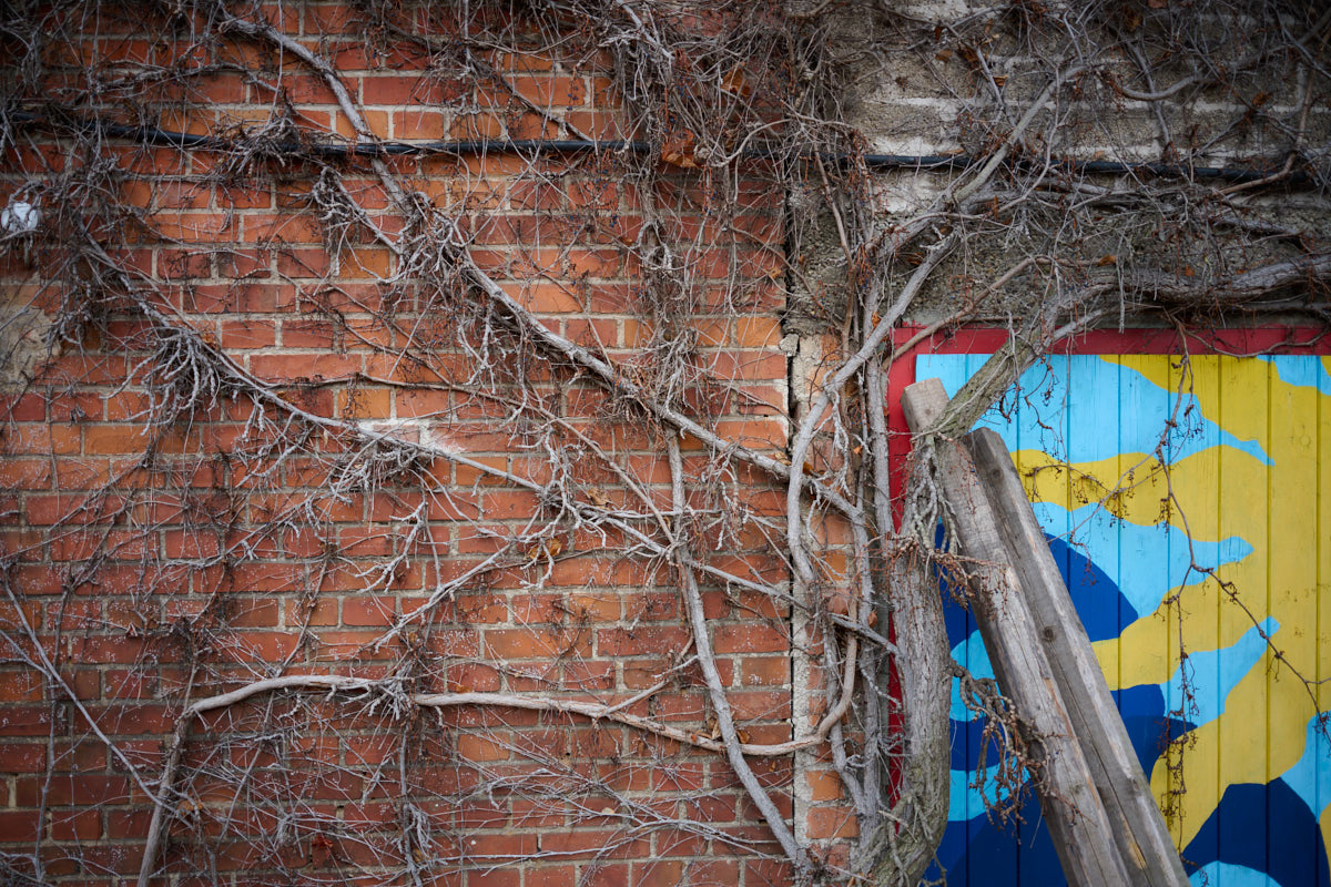 z26-f2.8-05.jpg