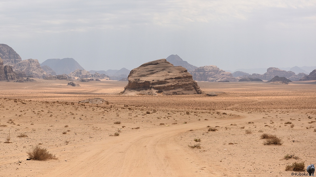 Fels in der Wüste. Der Weg führt rechts vorbei