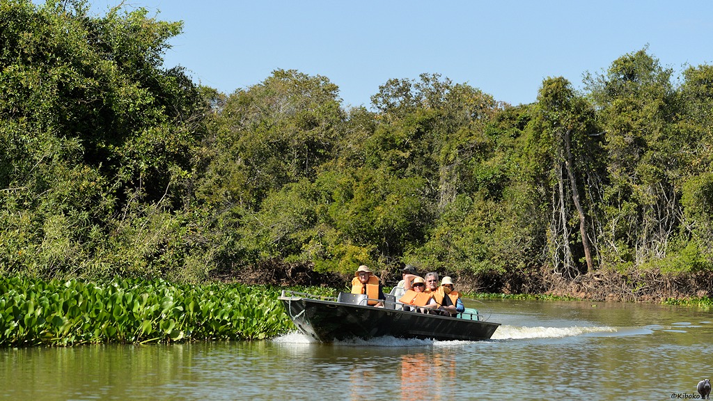 Kleines Boot mit 5 Insassen in orangenen Schwimmwesten auf einem Fluss