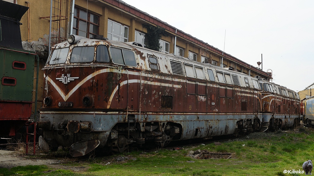 Das Bild zeigt zwei verrostete wei-rot-graue, sechsachsige Diesellokomotiven.