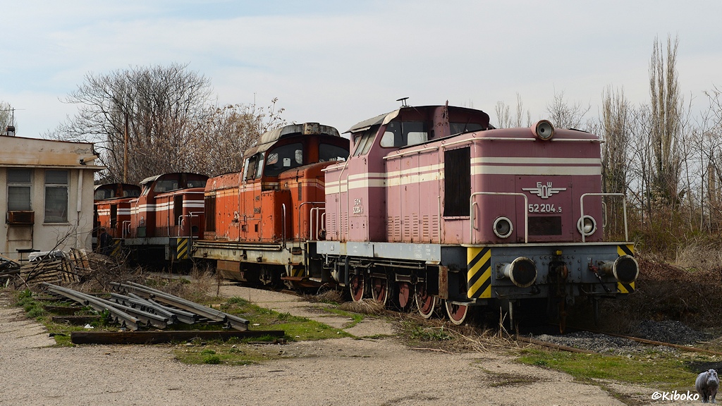 Das Bild zeigt eine Reihe von agestellten Diesellkomotiven mit Mittelführerstand in unterschiedliche Rosa- und Rottönen.