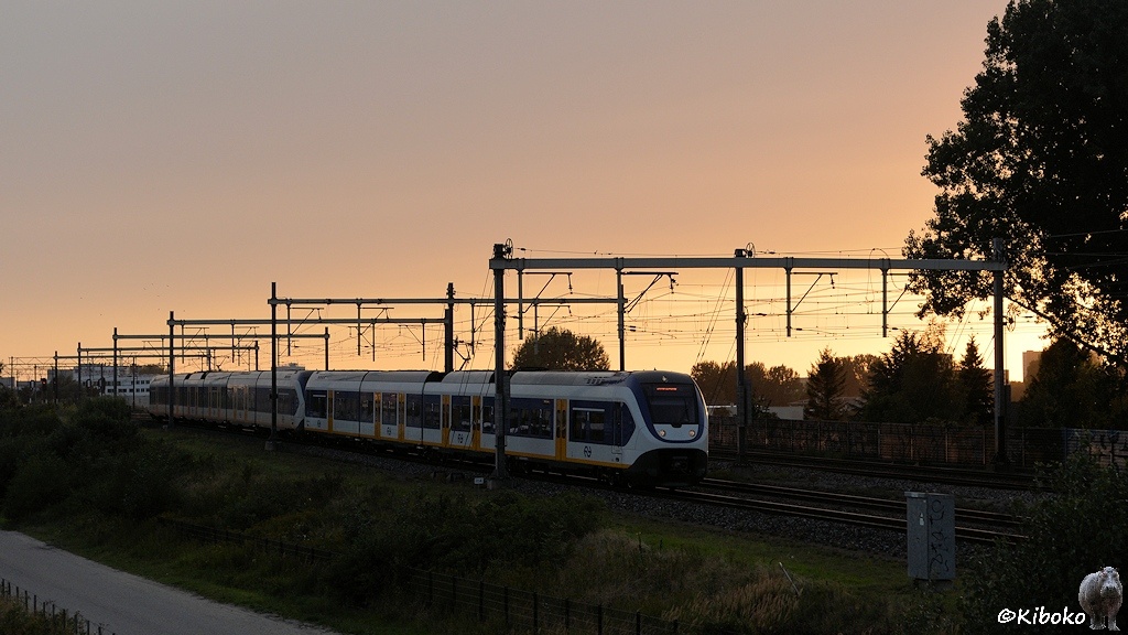 Das Bild zeigt einen Zug aus zwei Triebwagen. Der erste ist vierteilig. Der Zweite ist sechsteilig. Die Treibwagen sind weiß lackiert und haben bein blaues Fensterband und gelbe Türen.