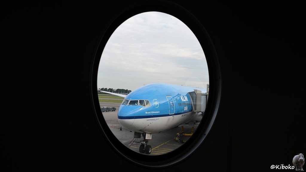 Das Bild zeigt einen Blick durch ein ovales Fenster der Gangway auf ein oben hellblau und unten weißes Flugzeug. Das Flugzeut trägt den Namen: Mount Kilimanjaro. Es trägt die Aufschrift: KLM Asia.