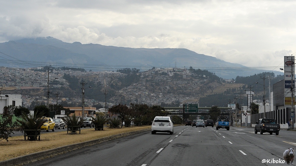 Das Bild zeigt eine breite Straße mit vier Fahrspuren pro Richtung und mittelstreifen. Die Straße fürht auf kleine Hügel, die komplett mit Häusern bebaut sind. Im Hintergrund sind große Berge.