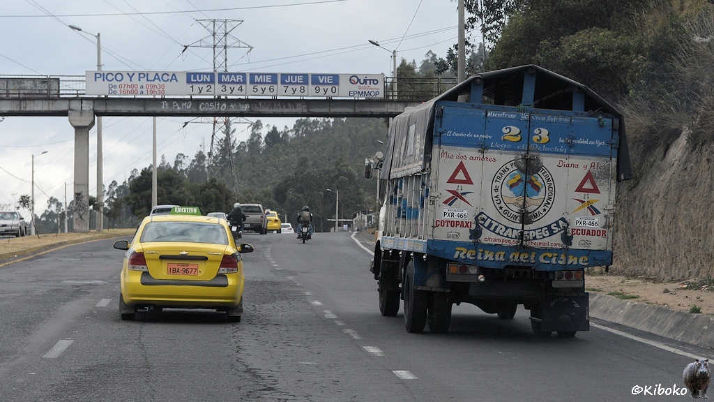 Das Bild zeigt eine dreispurige Straße. Ein vorausfahrendes gelbes Taxi überhaolt einen weiß-blauen LKW. Im Hintergrund ist eine Brücke über die Straße. Daran hängt ein Plakat mit der Schrift: Pico Y Placa. Es enthält Hinweise führ Fahrverbote.