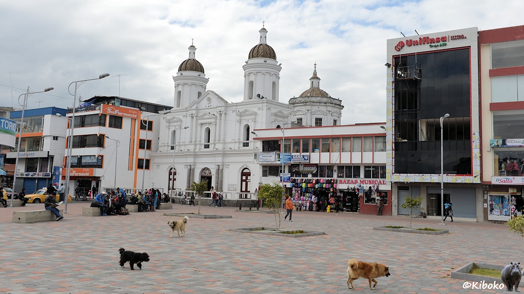 Das Bild zeigt eine weiße, zweigeschossige Kirche in der Ecke eines Platzes. Sie hat zwei kleine Türme. Im Hintergrund ist eine Kuppel. Neben der Kirche sind moderne Geschäftshäuser. Auf dem Platz laufen drei Hunde.