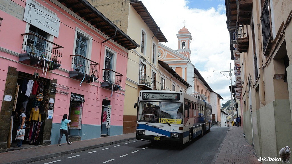 Das Bild zeigt eine schmale Straße. Darin fährt ein weißer Gelenkbus mit blauem Zierstreifen. Der Bus fährt elektrisch mit Oberleitung. Auf beiden Seiten stehen Häuser. Am linken Bildrand ist ein rosa Haus mit Klamottenladen im Erdgeschoss.