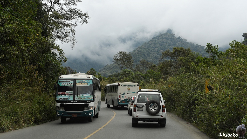 Das Bild zeigt eine Teerstraße im Linksbogen. Ein weiß-grüner Bus kommt entgegen. Ein weiterer Bus und zwei PKW fahren voraus. Im Hintergrund sind waldbedeckte Berge mit den Hängen in Wolken.