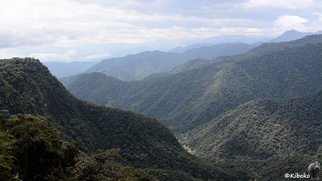 Das Bild zeigt eine Landschaftsaufnahme auf ein tiefes Tal zwischen steilen, bewaldeten Hängen mit spitzen Gipfeln.