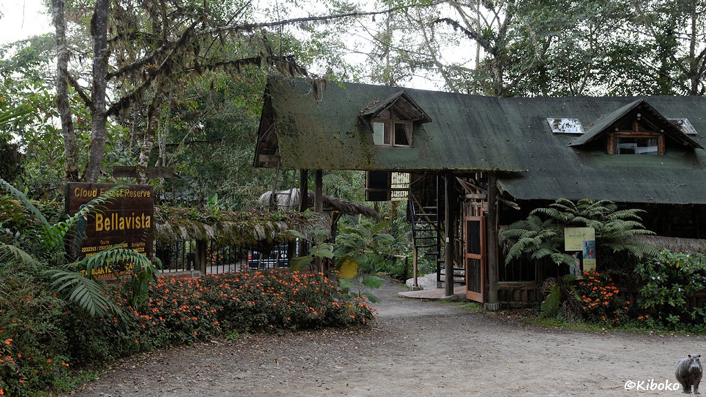 Das Bild zeigt die Einfahrt zur Lodge durch ein aufgeständertes Portal mit einem grünen Spitzdach.