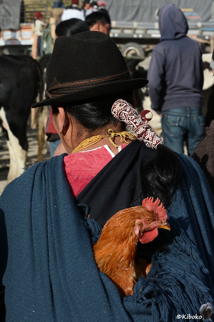 Das Bild zeigt eine Frau von hinten. Sie hat ein dunkelblaues Tuch als Rucksack gebunden. Daraus schaut der Kopf eines braunen Hahns heraus.