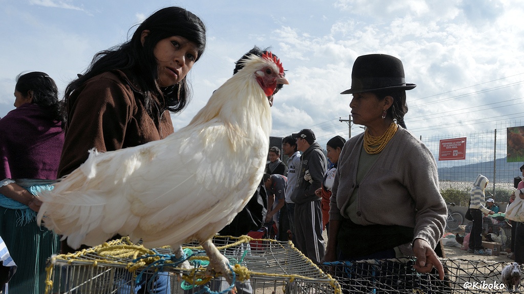 Das Bild zeigt ein weißes Huhn auf einem Drahtkäfig. Das Huhn ist mit einem blauen Strick am Käfig festgebunden. Links steht eine junge Frau und schaut sich das Huhn an. Rechts steht die Verkäuferin mit schwarzem Hut, grauer Strickjacke und einer vielfach um den Hals geschlungener Goldkette.