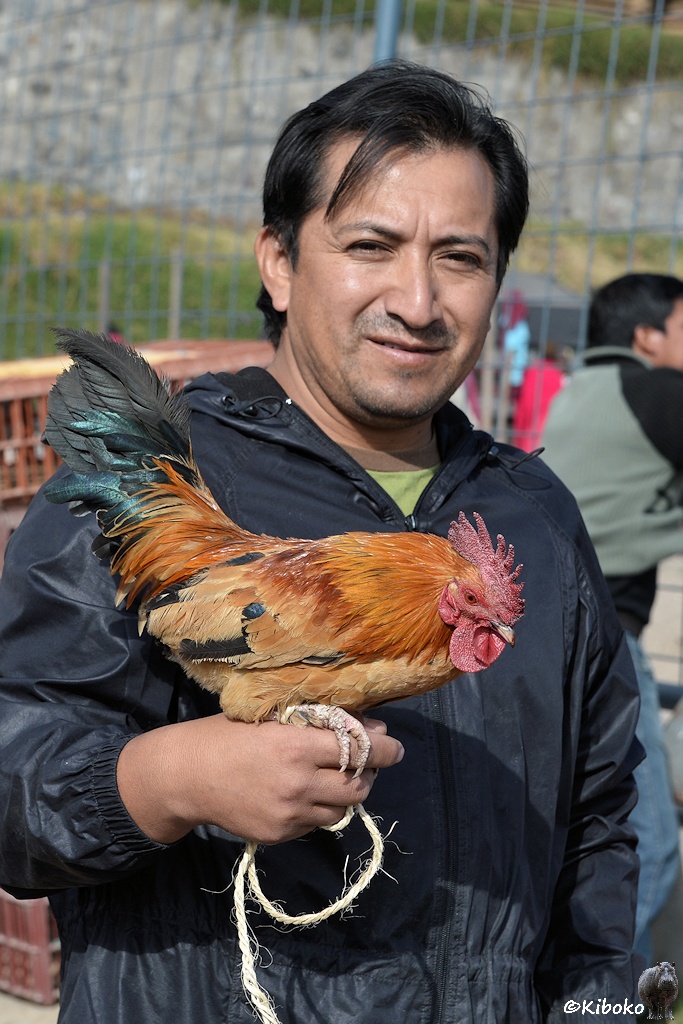 Das Bild zeigt einen lächelnden Mann in schwarzer Jacke der einen braunen Hahn mit grünlich schimmernden Schwanzfedern auf der Hand hält.