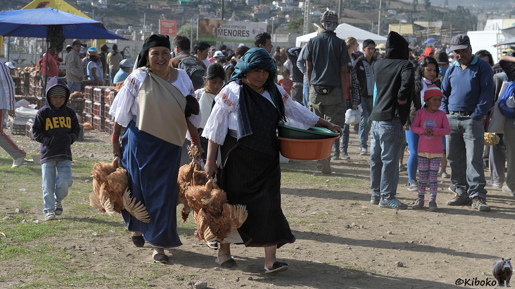 Das Bild zeigt zwei Frauen im langen dunklen Rock, weißer Bluse und dunklen Kopftuch. In jeder Hand tragen sie jeweils zwei braune Hühner an den Beinen.