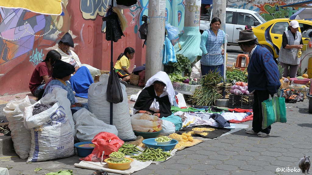 Das Bild zeigt mehrere Frauen auf dem Boden hocken. Sie sitzen hinter kleinen Decken auf denen Mais und Bohnen ausgebreitet sind. Daneben stehen große Säcke. Ein kleiner Mann mit Hut beugt sich über die Waren und schaut interessiert.